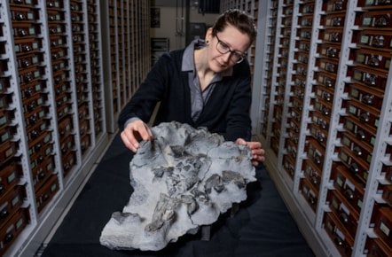 Dr Elsa Panciroli with the Elgol dinosaur fossil credit Neil Hanna 2