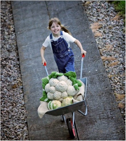 Woolly Weekend at the National Museum of Rural Life. Photo © Paul Dodds (9)