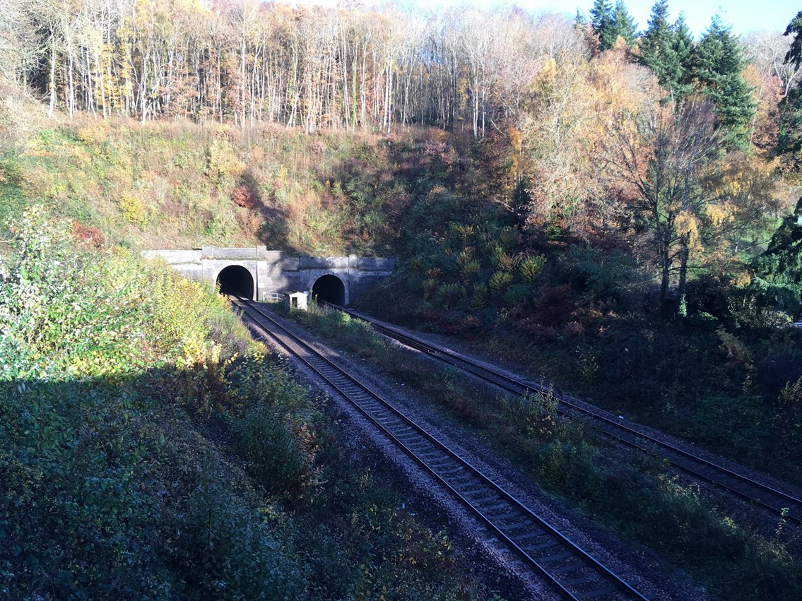 Dinmore Tunnel credit Paul Crooke