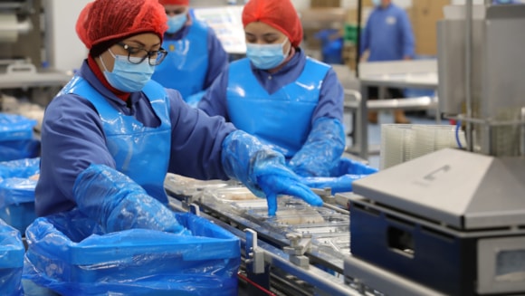 Seafish begins formal industry consultation to revise levy structure: 14630.Flatfish076-2
