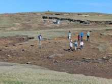 Dounby P5 looking for the beetle at Yesnaby (c) Sam Stringer: Dounby P5 looking for the beetle at Yesnaby (c) Sam Stringer