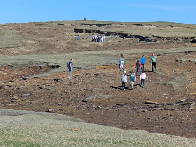 Dounby P5 looking for the beetle at Yesnaby (c) Sam Stringer