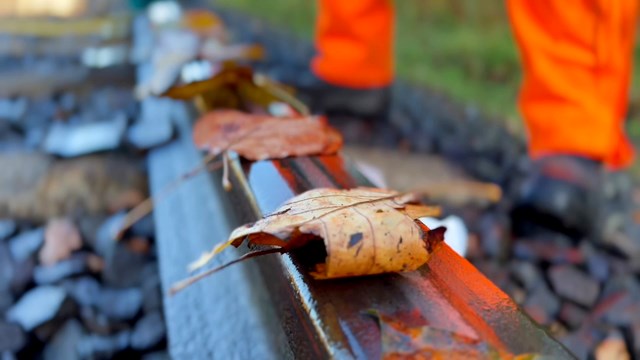 Drones and leaf busting trains keeping rail routes clear this autumn: Close up shot of leaf placed on line during autumn test October 2022