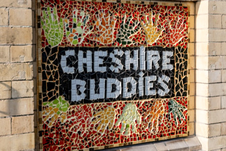 Cheshire Buddies - a charity that supports children and young people with disabilities, as well as sibling young carers - created the art installation as part of a project to engage them in the railway.