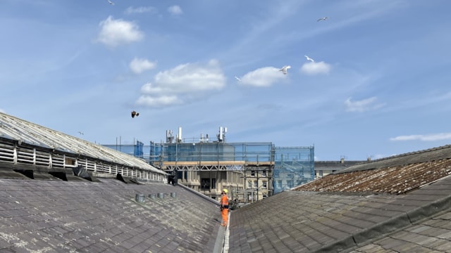 Scarborough roof 2 - Maverick on the roof (Network Rail)