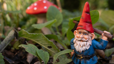 garden gnomes