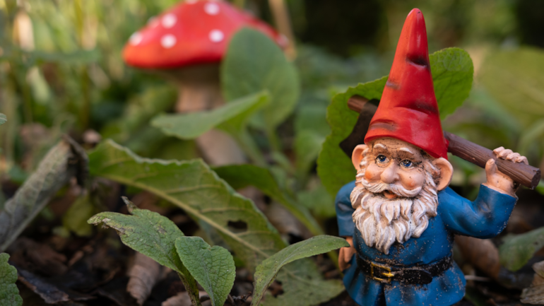 Garden gnomes not actually a property turn-off for most UK adults, Go.Compare research finds