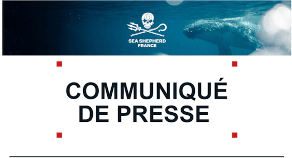 Krill en Antarctique : quatre ans après l’alerte, les supermarchés français toujours sans politique d’exclusion: bannerss800px2026-05-26