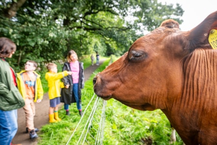 Visitors at the National Museum of Rural life. Photo © Andy Catlin  (5)