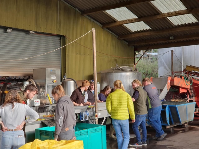 students-making-cider