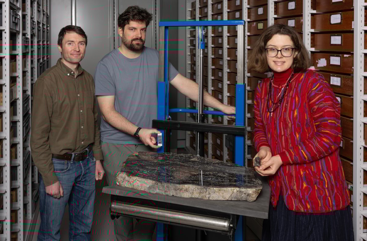 Researchers (R to L) Sandy Hetherington, Corentin Loron and Laura Cooper at the National Museums Collection Centre with sample fossils of the species Prototaxites (credit Neil Hanna)