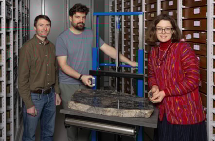 Researchers (R to L) Sandy Hetherington, Corentin Loron and Laura Cooper at the National Museums Collection Centre with sample fossils of the species Prototaxites (credit Neil Hanna)