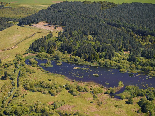 Morton Lochs closed for forestry work: Morton Lochs - Tentsmuir NNR - L1050-20-0510 - September 2018 - copyright SNH