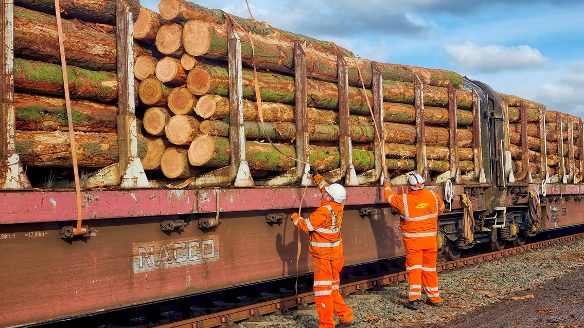 Seeing the wood for the trees: Pilot project takes more lorries off the roads as timber freight train runs for the first time in 18 years: Securing timber