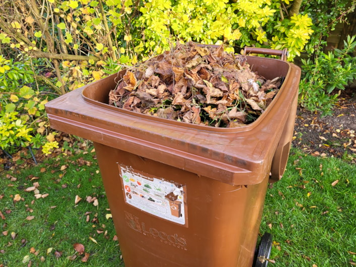 Brown bin with leaves: Brown bin with leaves