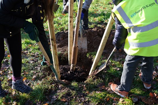 Trees for life Birmingham 00023: Trees For Life, environment, HS2 Community Environment Fund, HS2 Business and Local Economy Fund, CEF, BLEF, community engagement, Birmingham