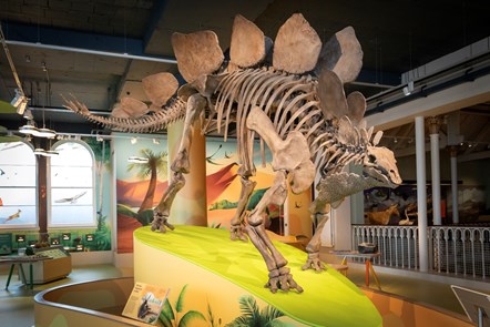 Adventure Planet at the National Museum of Scotland. Image copyright Ruth Armstrong