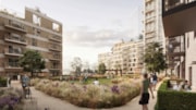 Courtyard: Courtyard