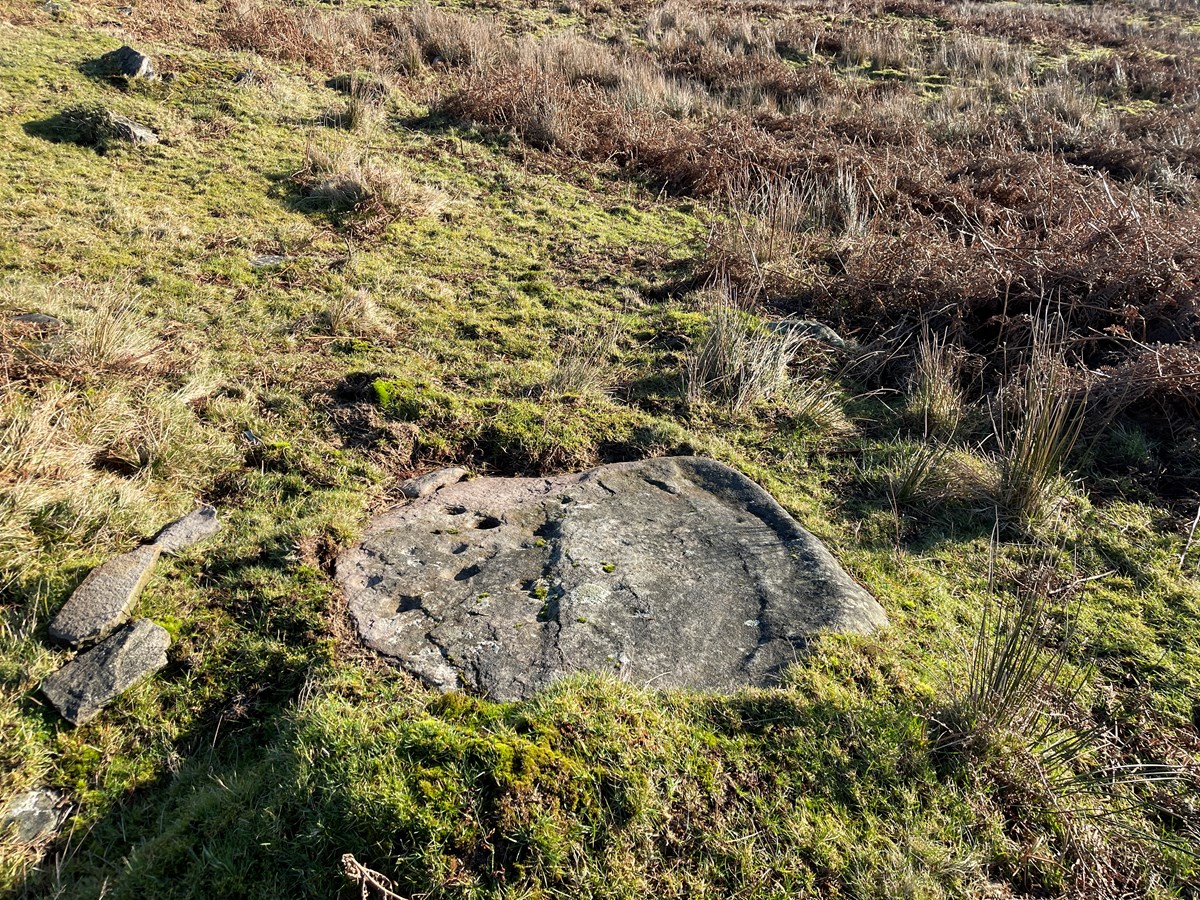 Cadw - GM628 - 2023-01-16 - JH  - 25 - Western view of northernmost stone