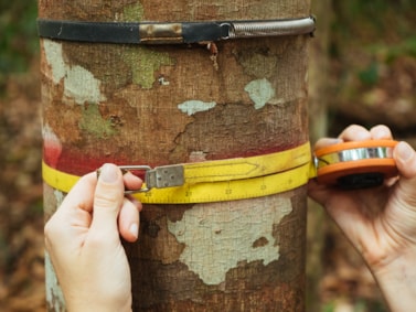 University of Cumbria academic contributes expertise on seed dispersal to new Amazon rainforest study-2