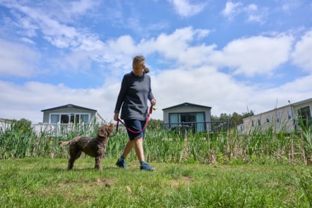 A sunny walk onsite