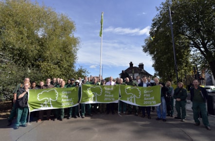 greenflag.jpg
