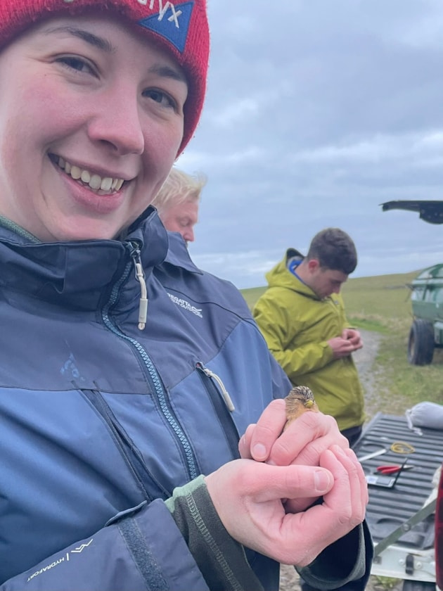 Shetland crofter, Laura, twite ringing (c) RSPB Shetland