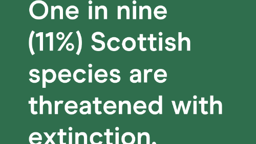 Nature Fact Assets