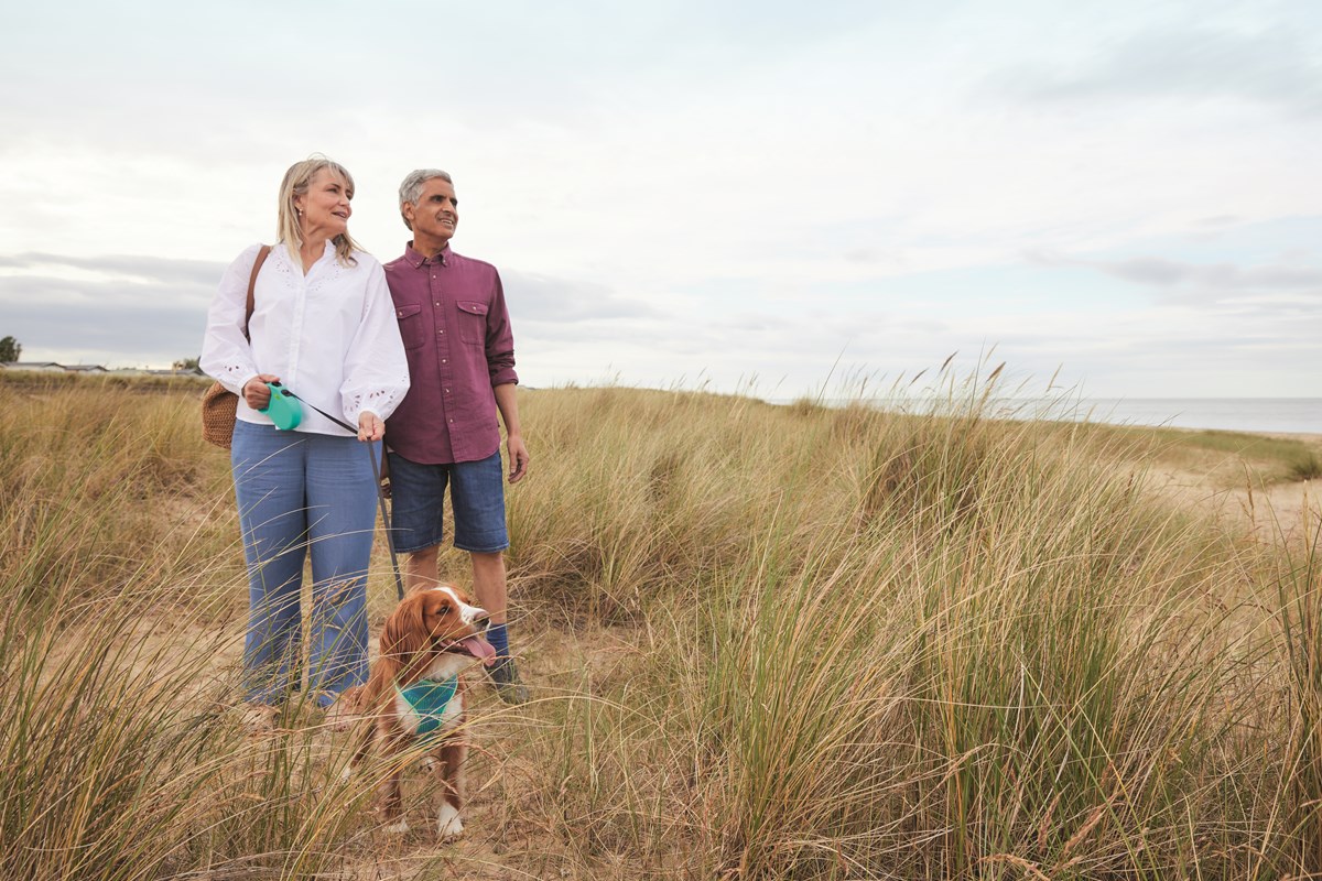 Dog Walks At Seashore 