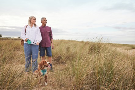 Dog Walks at Seashore