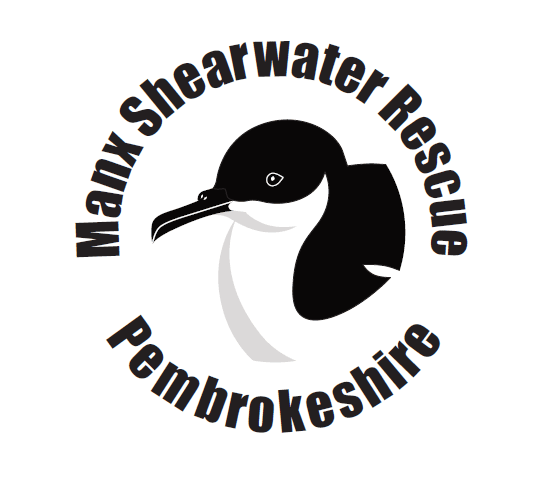 Manx Shearwater Rescue