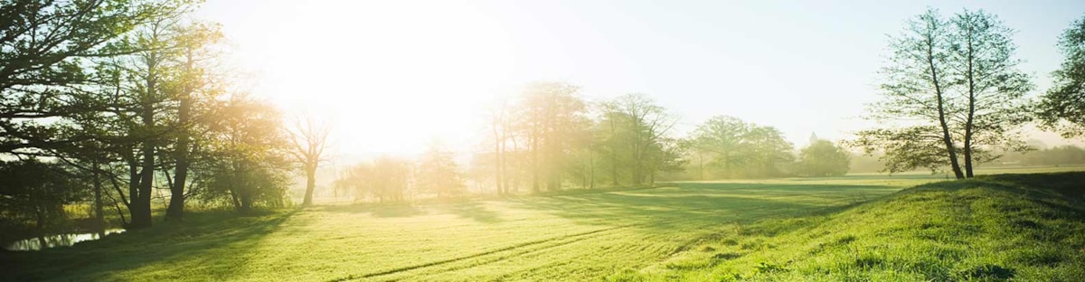 green-field