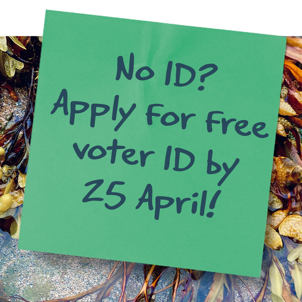 Voter ID-2
