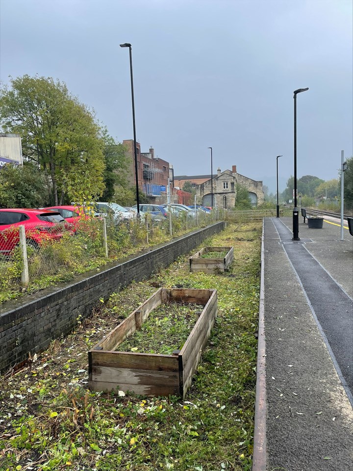 Cleared vegetation at Stroud station