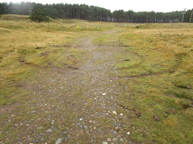 Rare habitats being damaged by off-road vehicles: Loch Fleet SSSI - Vehicle damage to sand dune