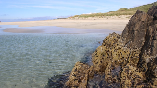 Study finds rocky seashore species in Scotland affected by climate change: Rocky seashore on Shetland - Credit Mike Burrows-SAMS