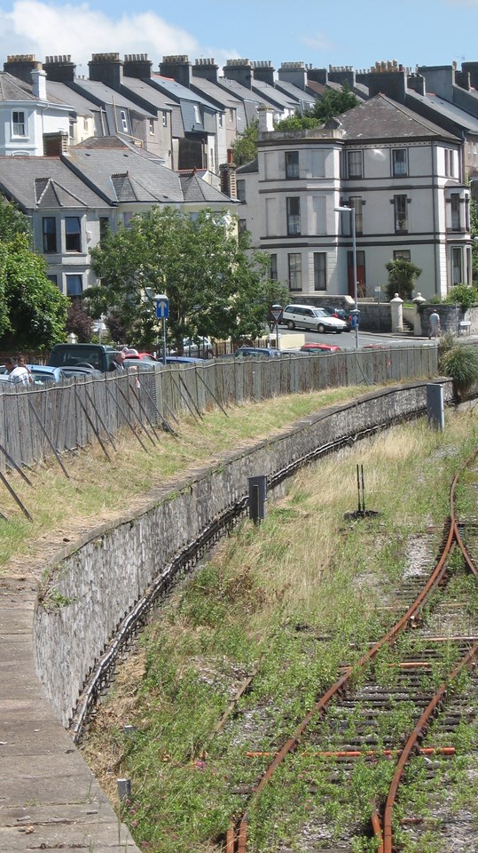Plymouth Clean-Up - After: Railway embankments cleared of rubbish