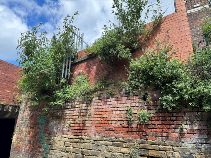 Sheepscar Beck - section of channel by Mushroom Street before the works with overgrown vegetation and damaged brickwork: section of channel by Mushroom Street before the works with overgrown vegetation and damaged brickwork