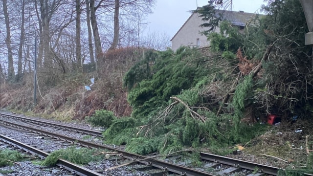 Engineers working hard to re-open lines closed by Storm Éowyn: Kilwinning Jan24