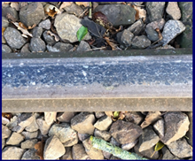 A layer of compressed black mulch on the rail