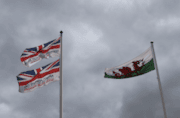 armed forces day resize-2: armed forces day resize-2