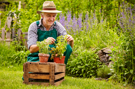 Gardening