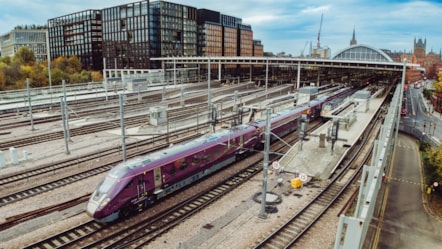 DJI 20251105155023 0410 D