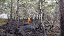 Damage caused by a camp fire on the island of Eilean Eachainn in NatureScot’s Beinn Eighe and Loch Maree Islands National Nature Reserve last year ©Doug Bartholomew/NatureScot