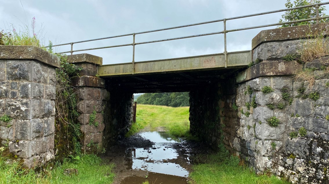 North Yorkshire bridge renewals mean changes for passengers from this weekend: Stainforth - September 2020