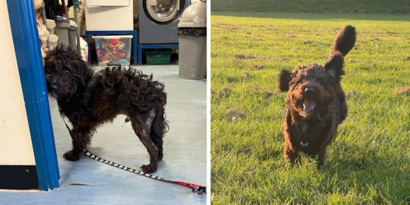 Frank before and after - media release