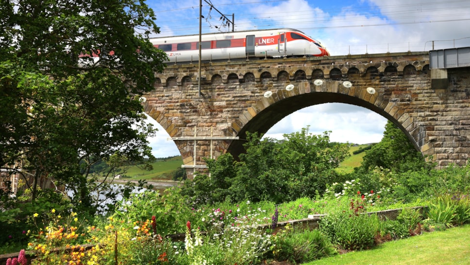 LNER Azuma in Summer