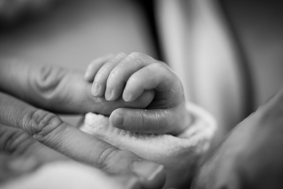 Newborn baby hands