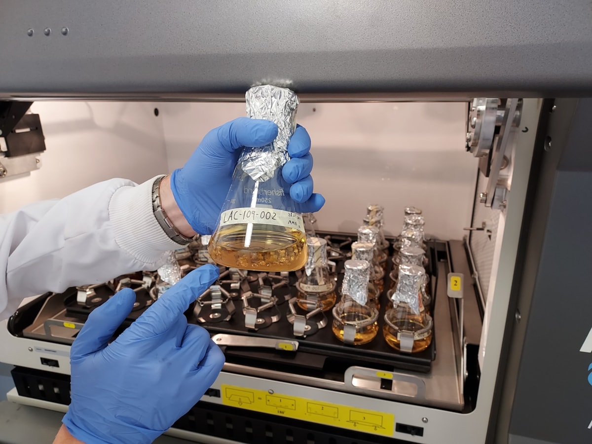 Growing fungi in the Rhizocore production facility at Roslin