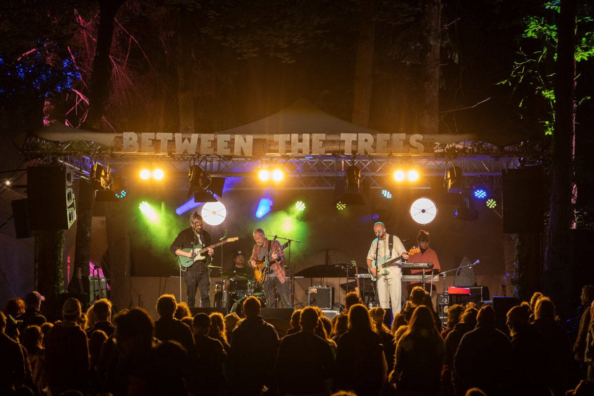 Between the Trees Festival